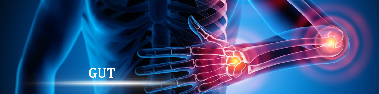 Gut